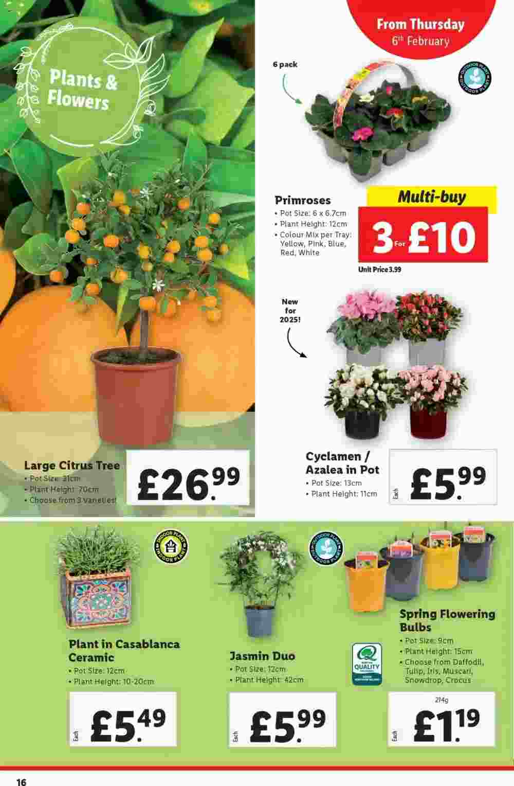 Lidl offers valid from 06/02/2025 - Page 16.