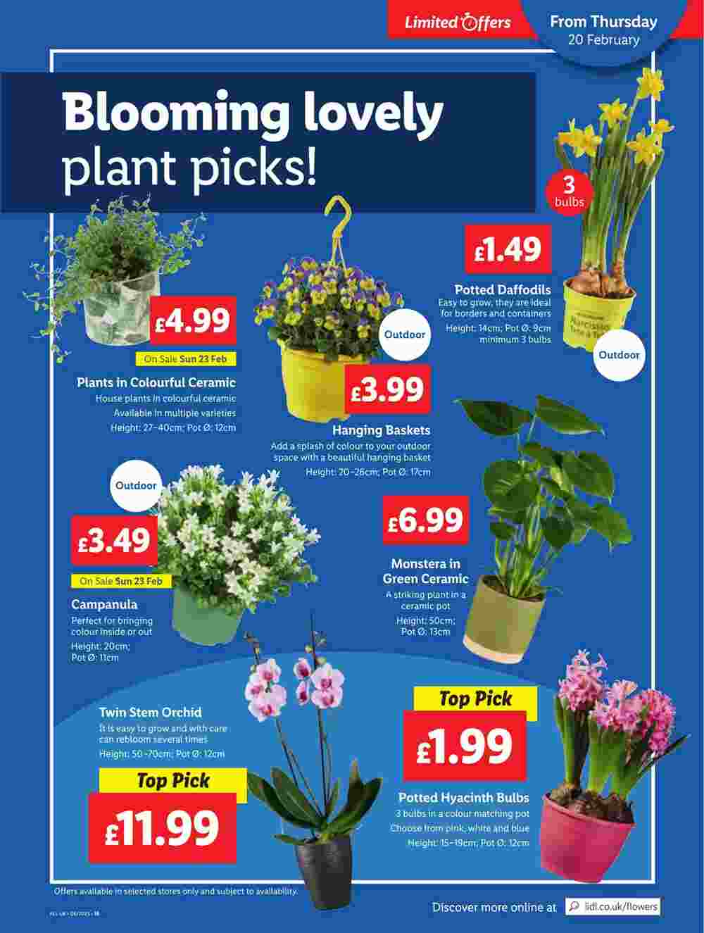 Lidl offers valid from 20/02/2025 - Page 23.