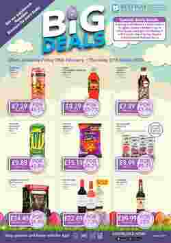 Bestway offers valid from 28/02/2025