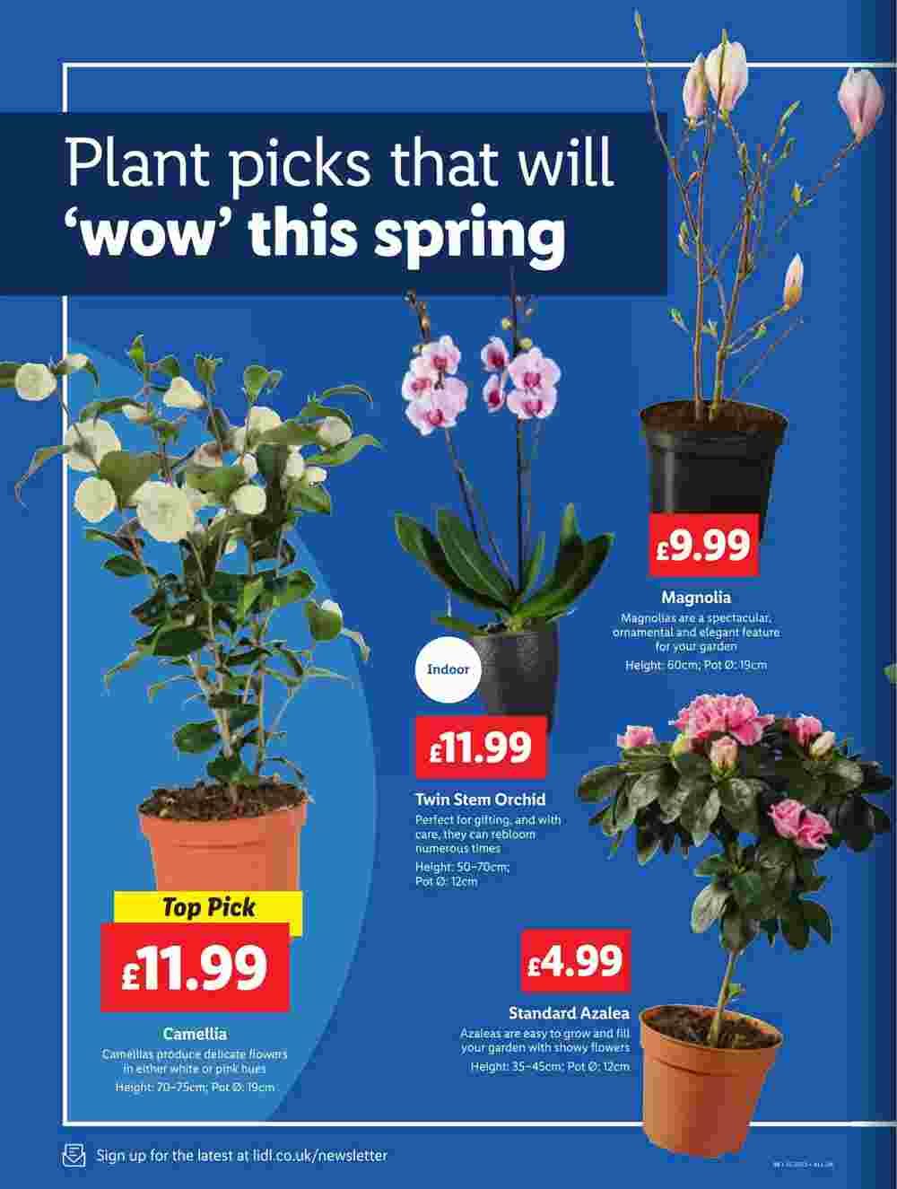 Lidl offers valid from 13/03/2025 - Page 20.