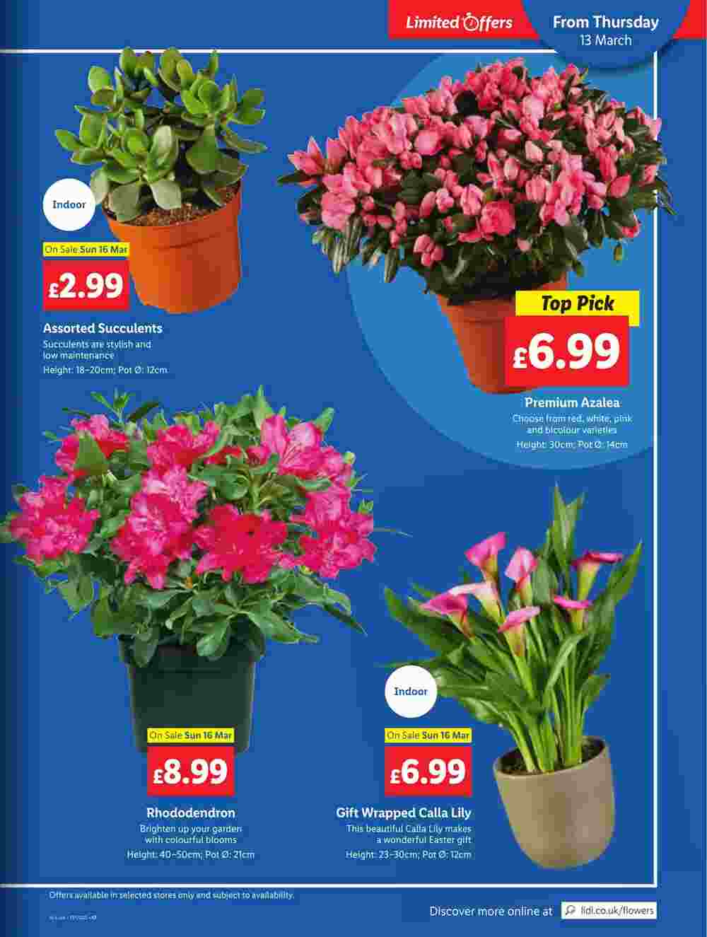 Lidl offers valid from 13/03/2025 - Page 21.