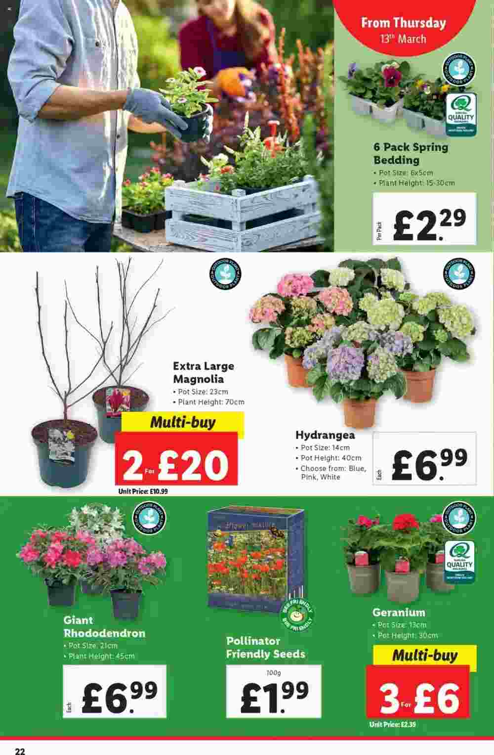 Lidl offers valid from 13/03/2025 - Page 22.