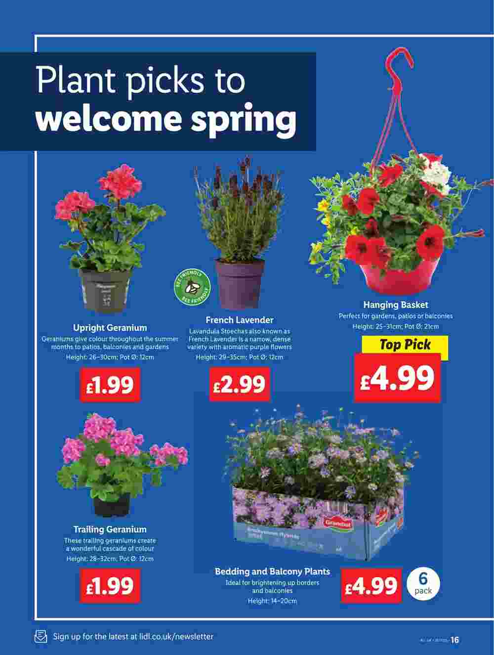 Lidl offers valid from 24/04/2025 - Page 18.