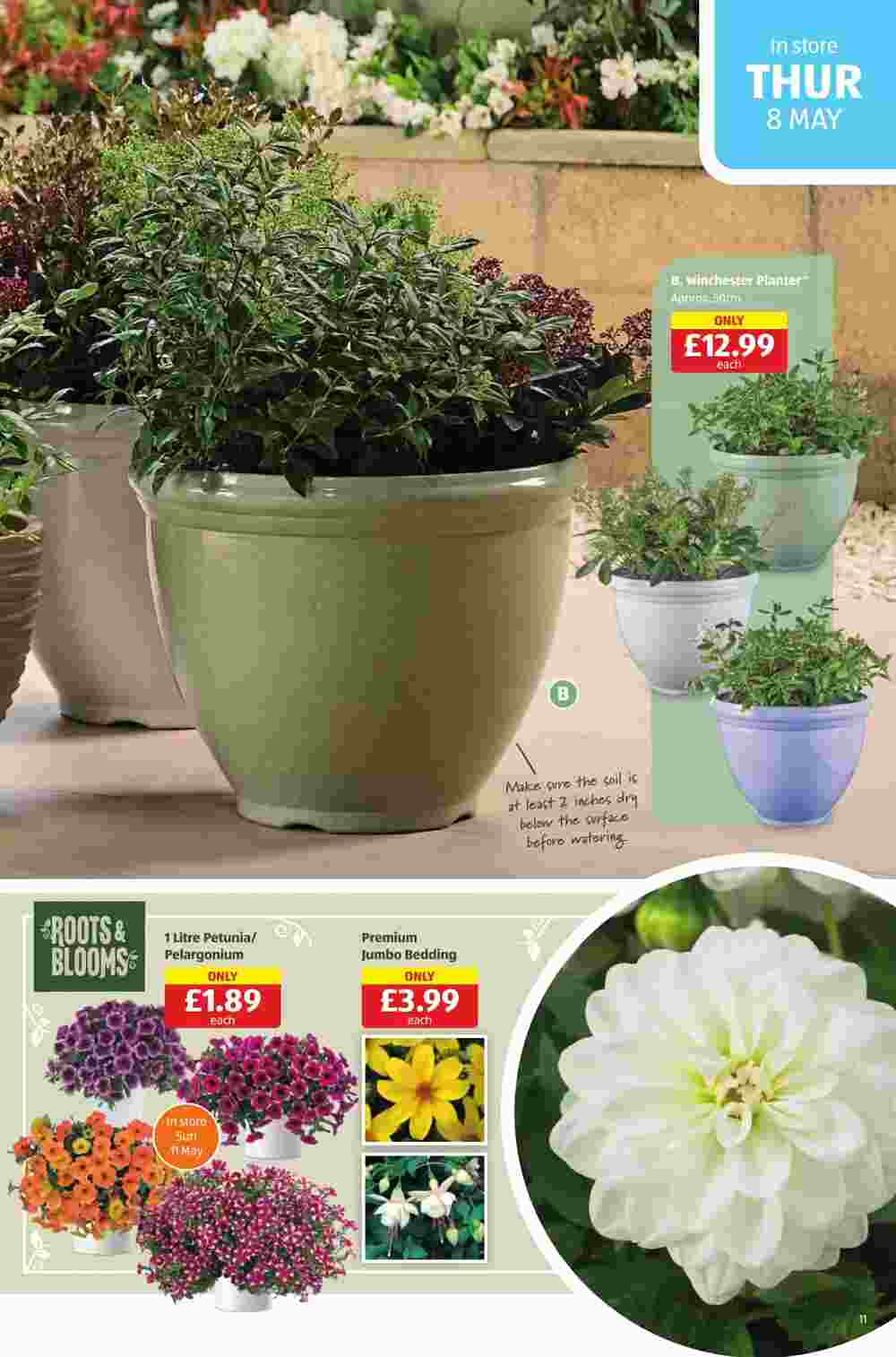 Aldi offers valid from 08/05/2025 - Page 11.