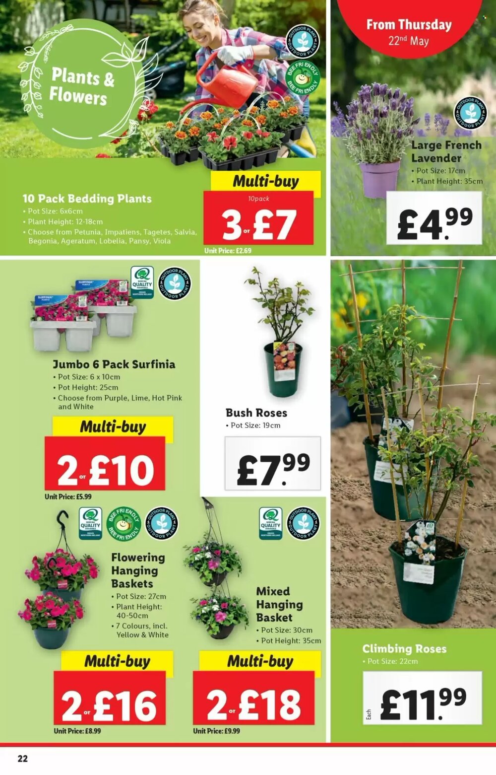 Lidl offers valid from 22/05/2025 - Page 22.