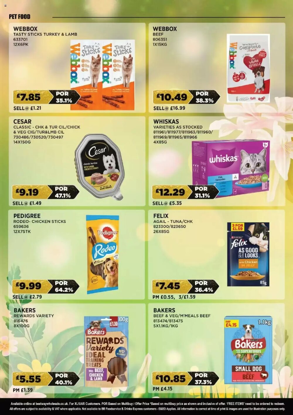 Bestway offers valid from 06/06/2025 - Page 17.
