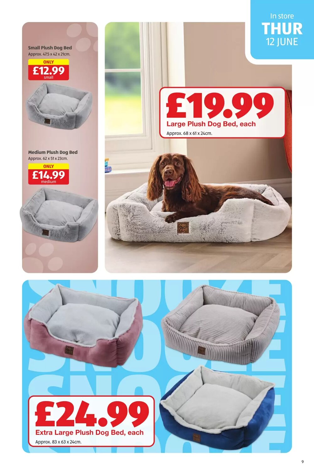 Aldi offers valid from 12/06/2025 - Page 9.