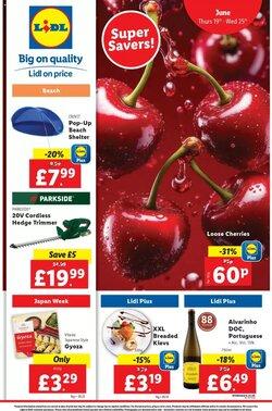 Lidl offers valid from 19/06/2025