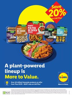 Lidl offers valid from 08/01/2026 - Page 28.