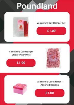Poundland offers valid from 14/01/2026 - Page 4.