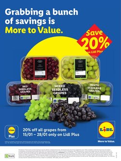 Lidl offers valid from 15/01/2026 - Page 5.