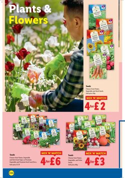 Lidl offers valid from 22/01/2026 - Page 20.