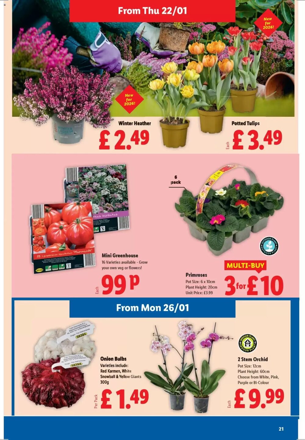 Lidl offers valid from 22/01/2026 - Page 21.