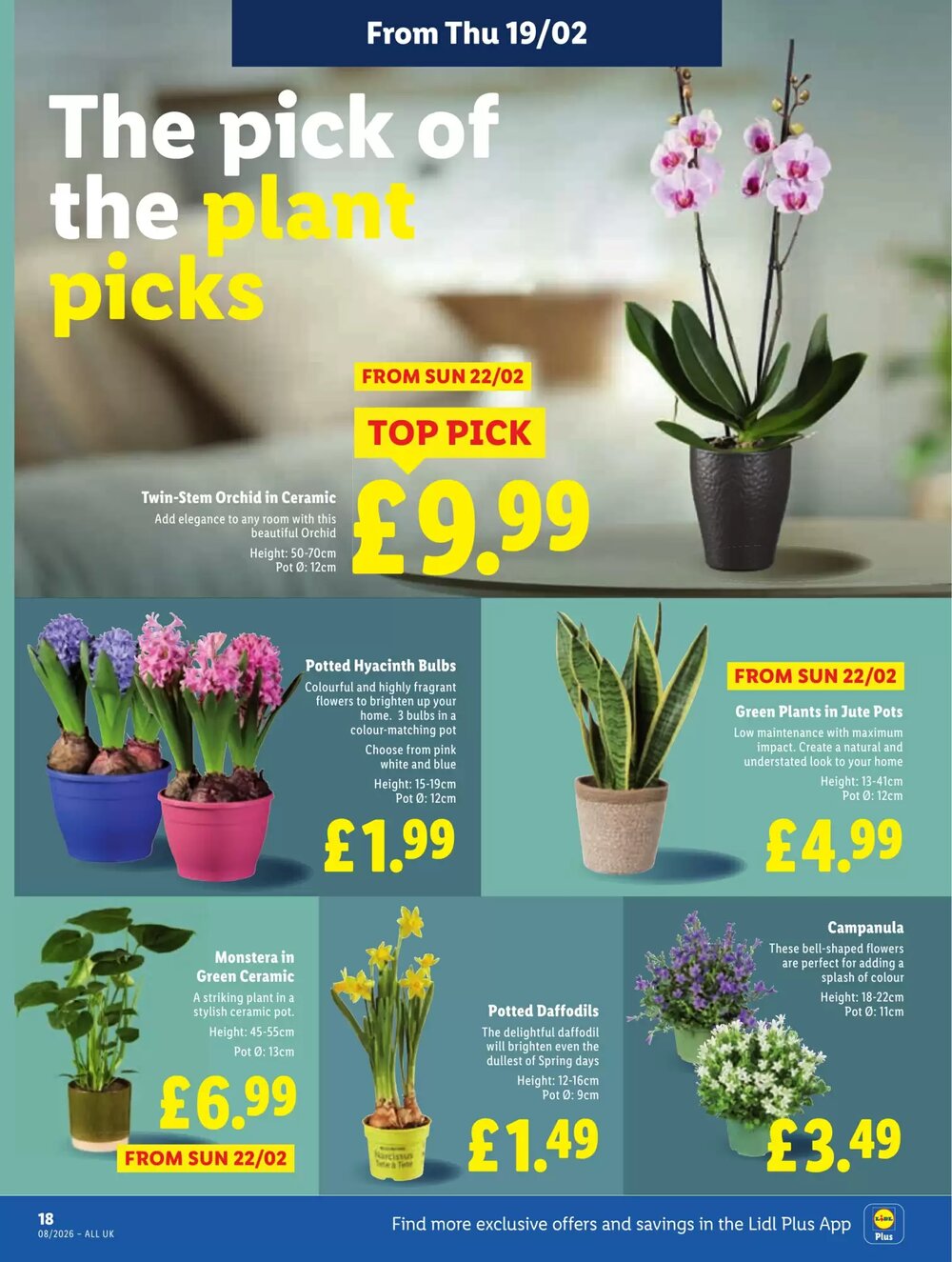 Lidl offers valid from 19/02/2026 - Page 18.
