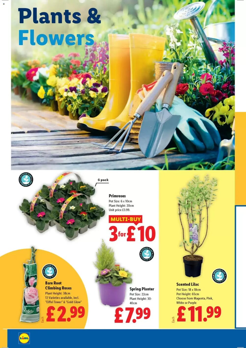 Lidl offers valid from 26/02/2026 - Page 22.
