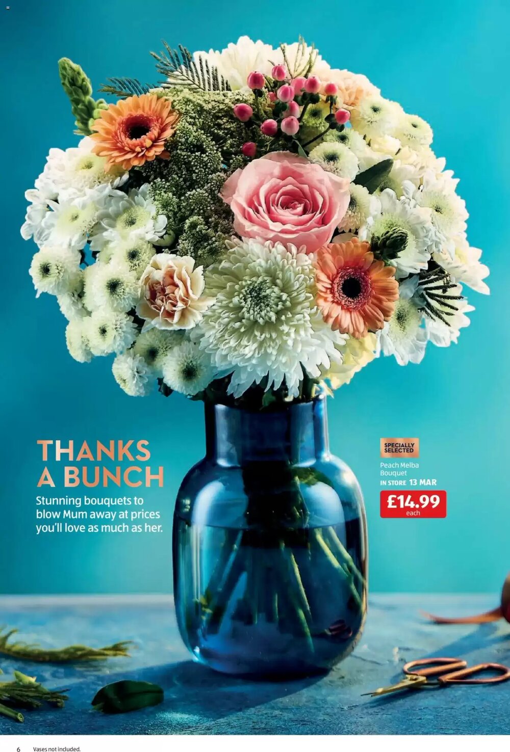 Aldi offers valid from 13/03/2026 - Page 6.