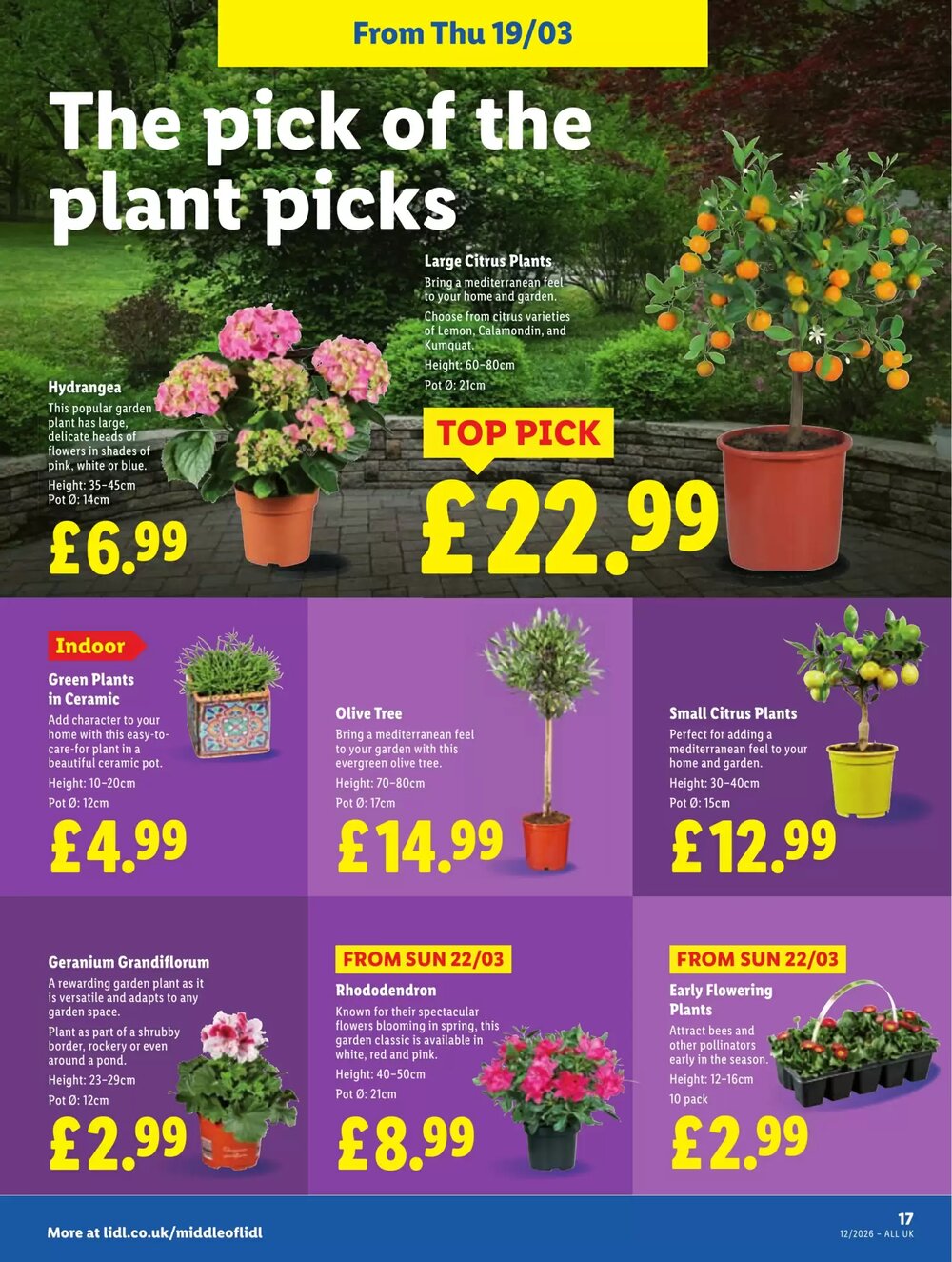 Lidl offers valid from 19/03/2026 - Page 19.