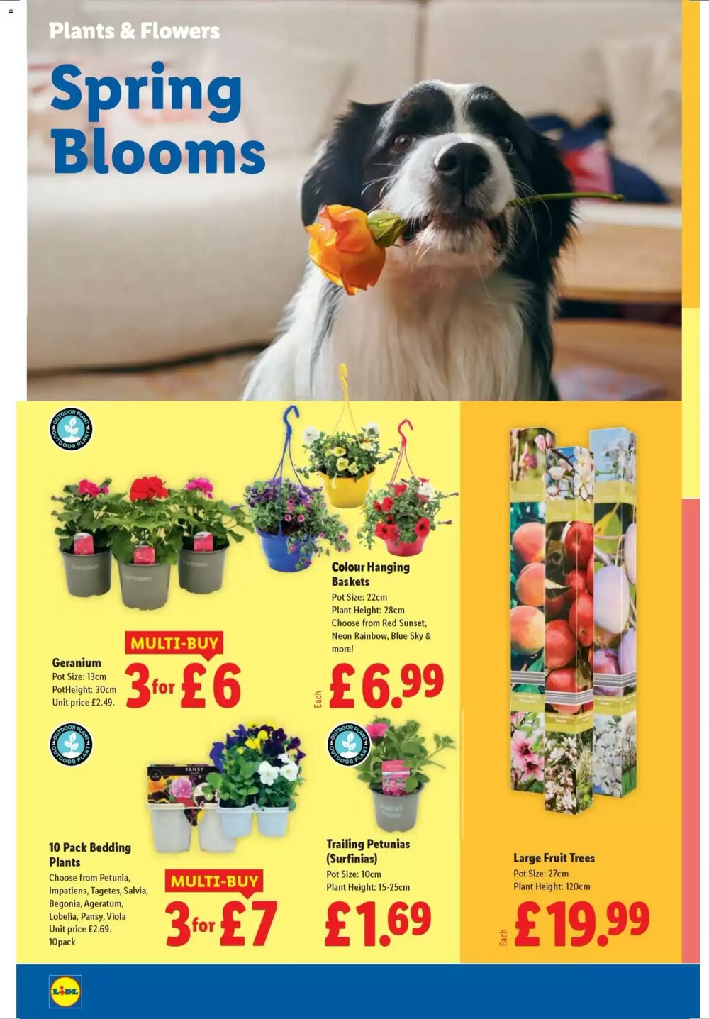 Lidl offers valid from 09/04/2026 - Page 22.