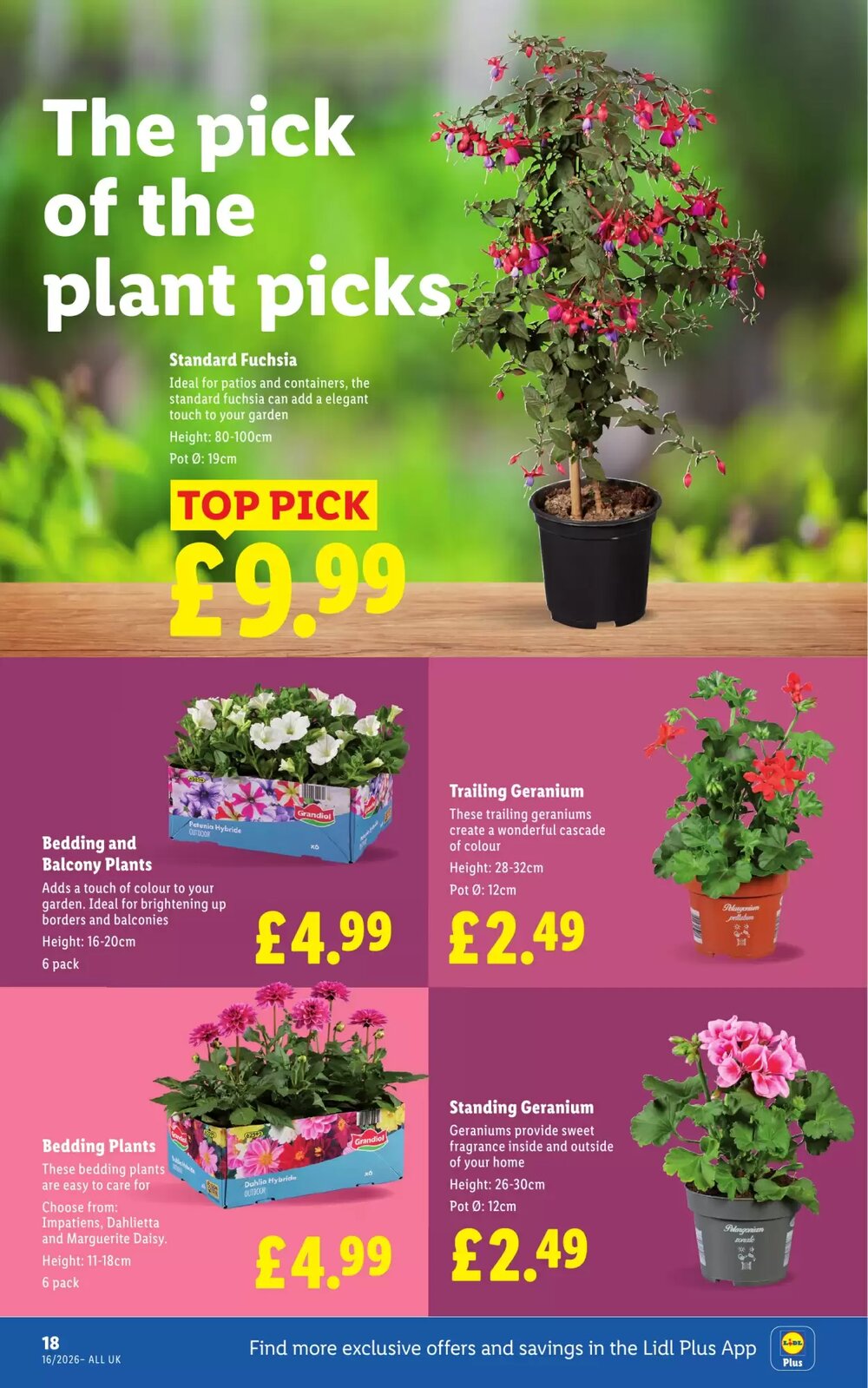 Lidl offers valid from 16/04/2026 - Page 20.