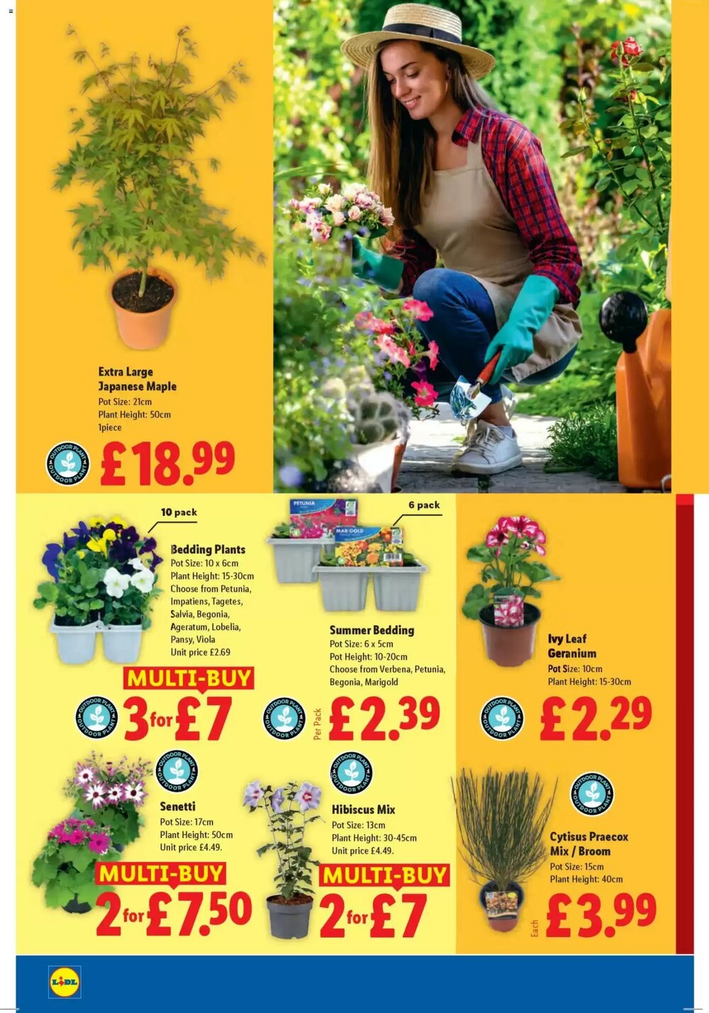 Lidl offers valid from 30/04/2026 - Page 20.