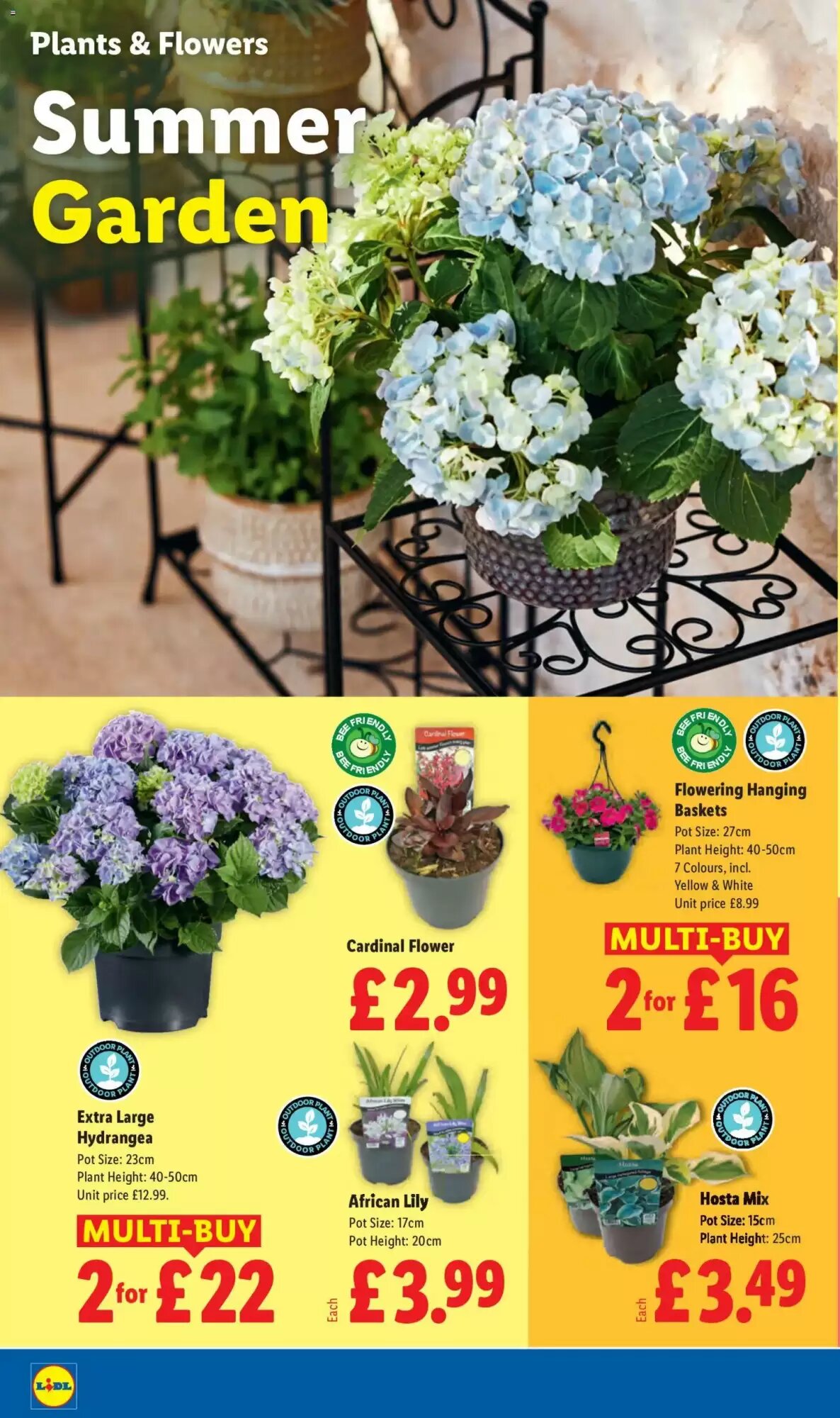 Lidl offers valid from 07/05/2026 - Page 22.