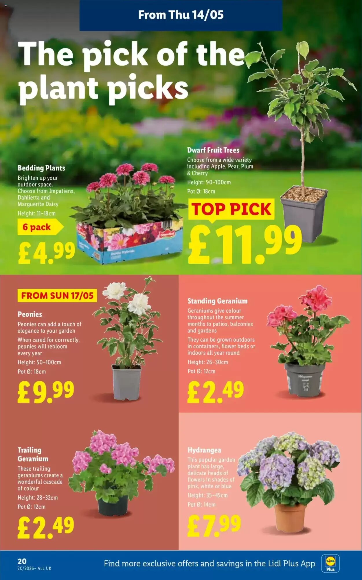 Lidl offers valid from 14/05/2026 - Page 22.