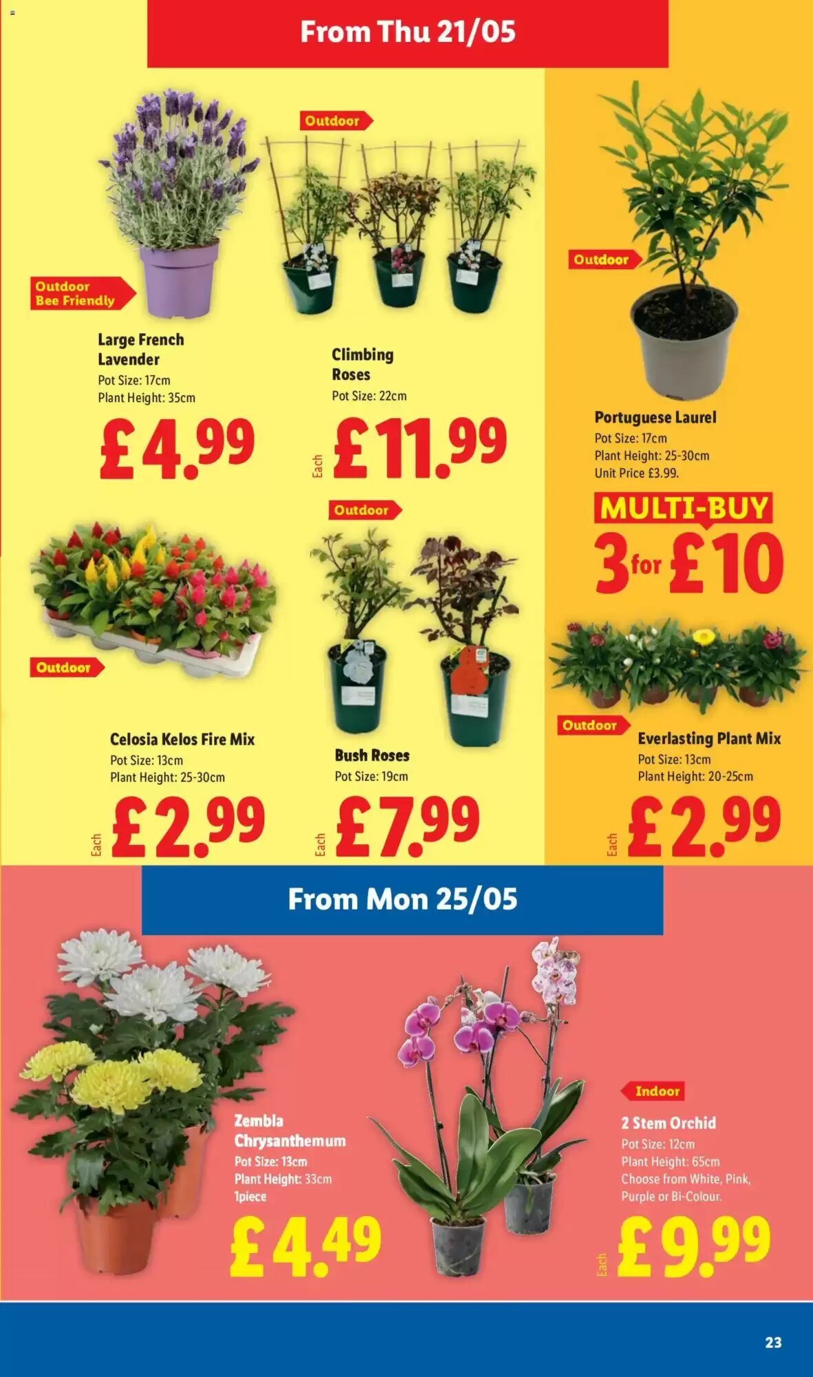 Lidl offers valid from 21/05/2026 - Page 23.