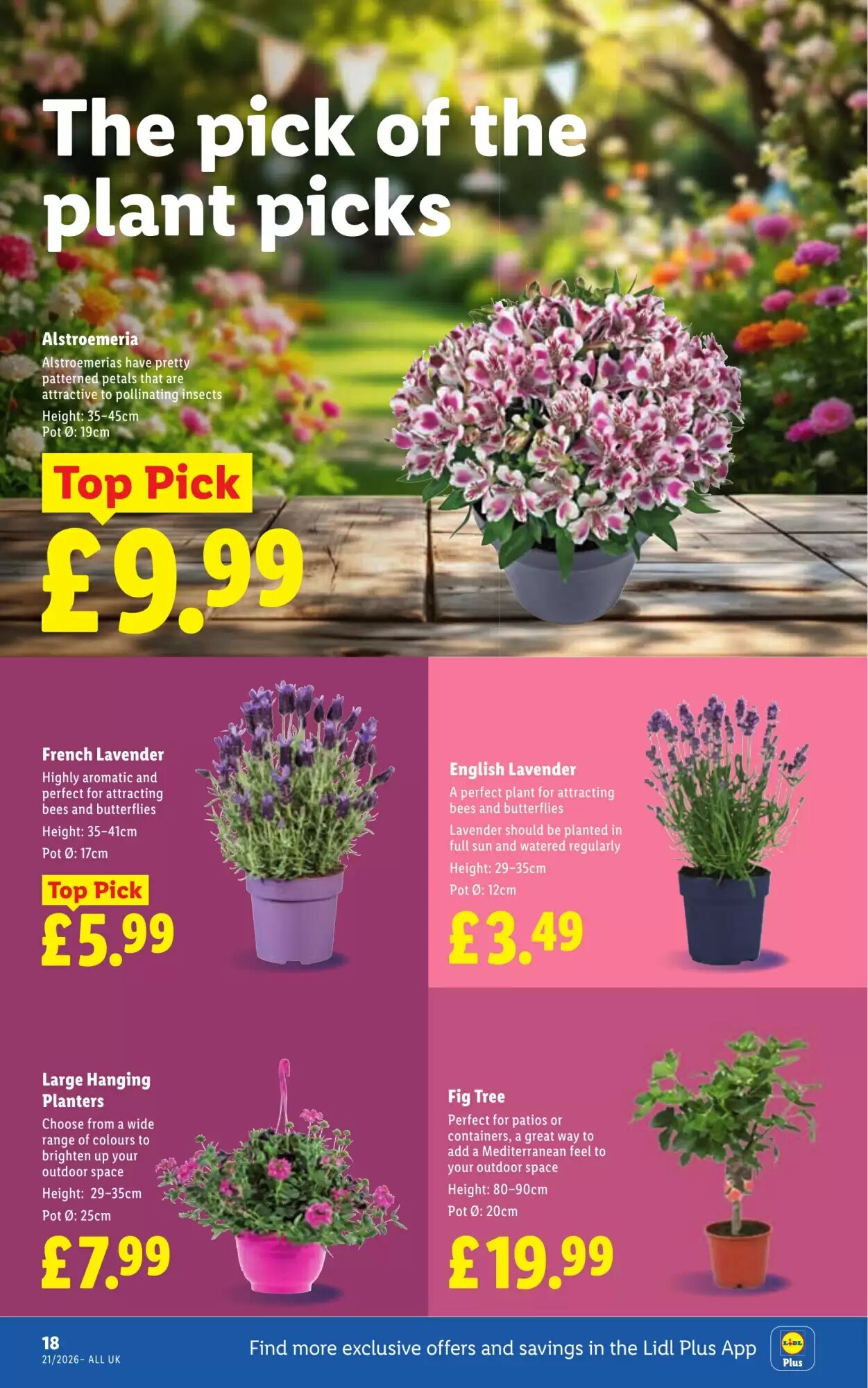 Lidl offers valid from 21/05/2026 - Page 22.