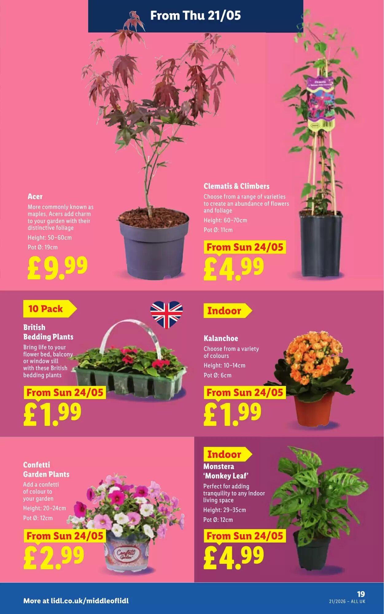 Lidl offers valid from 21/05/2026 - Page 23.