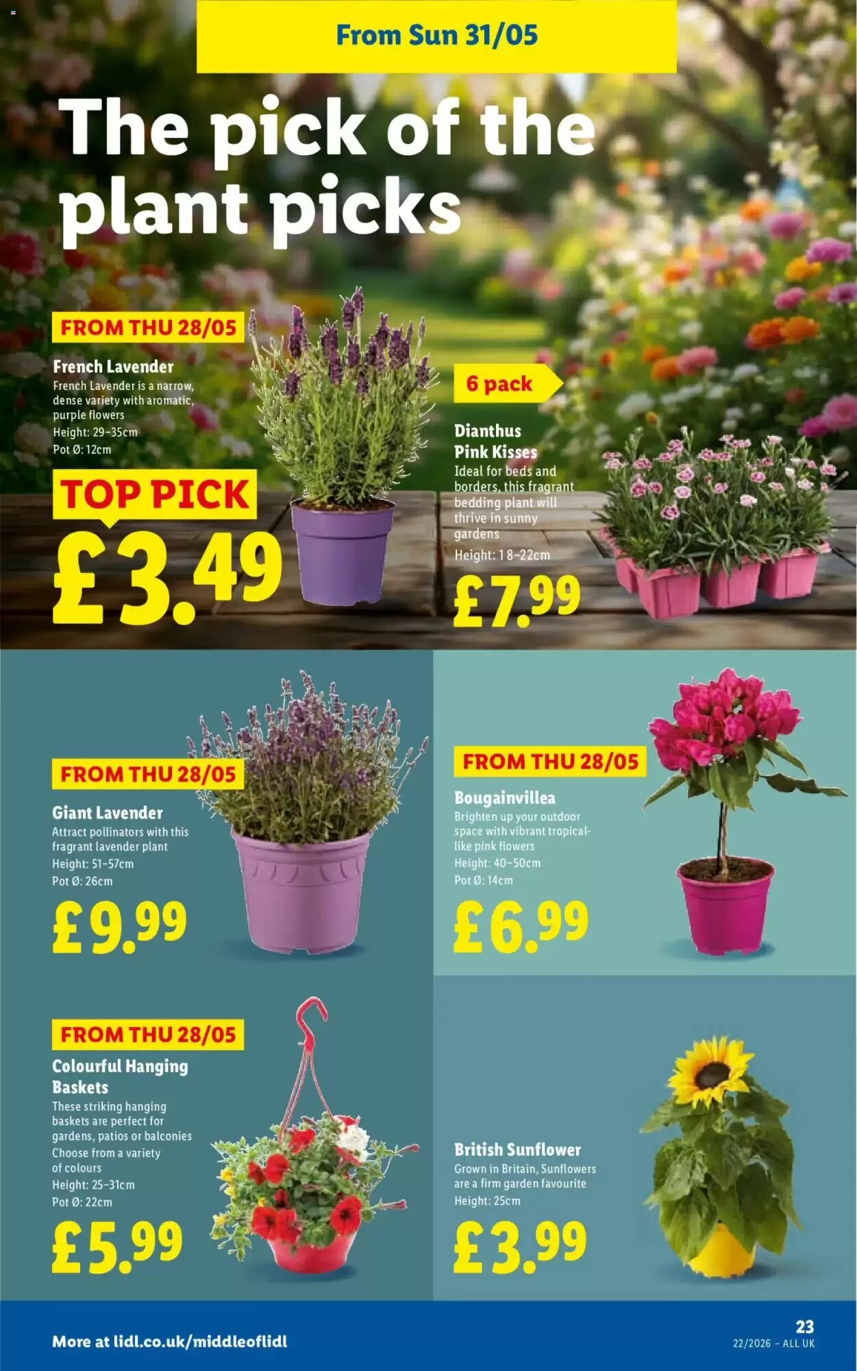 Lidl offers valid from 28/05/2026 - Page 23.