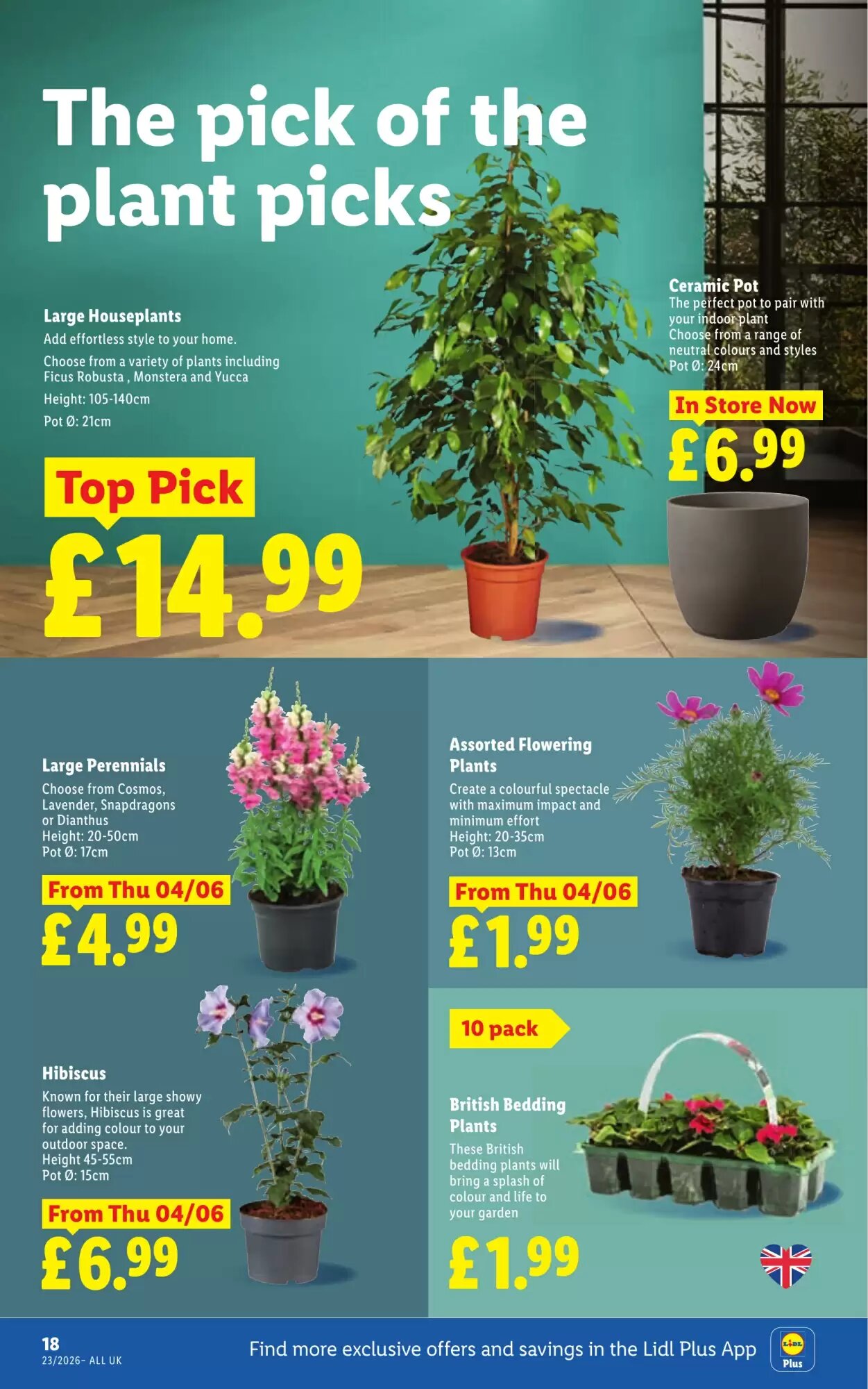 Lidl offers valid from 04/06/2026 - Page 20.