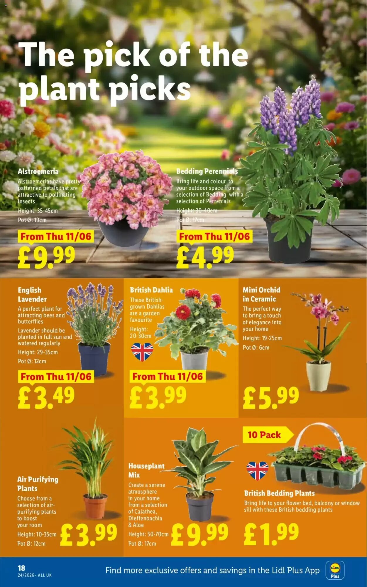 Lidl offers valid from 11/06/2026 - Page 18.