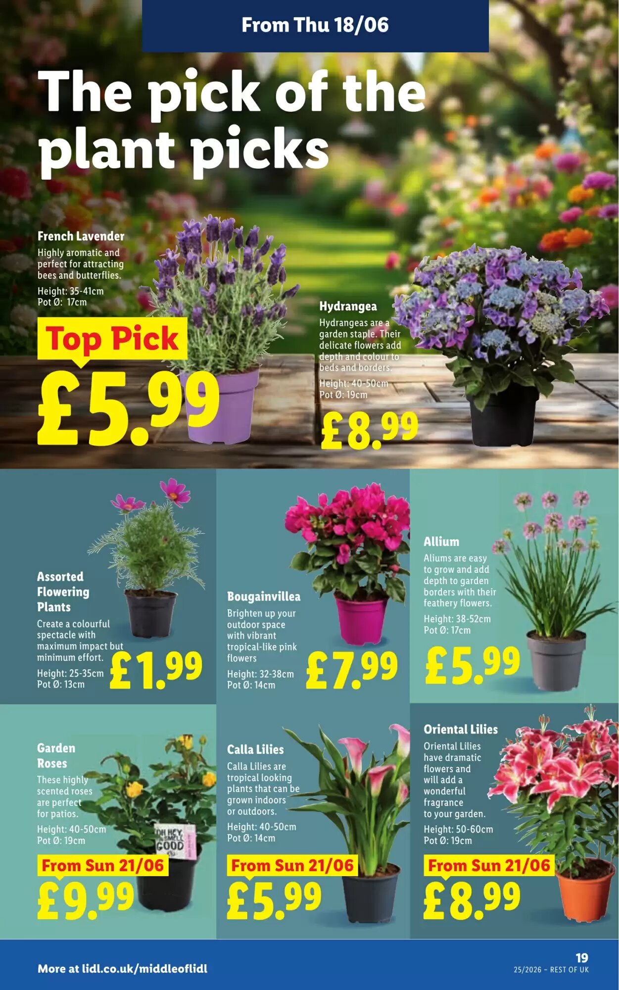 Lidl offers valid from 18/06/2026 - Page 21.