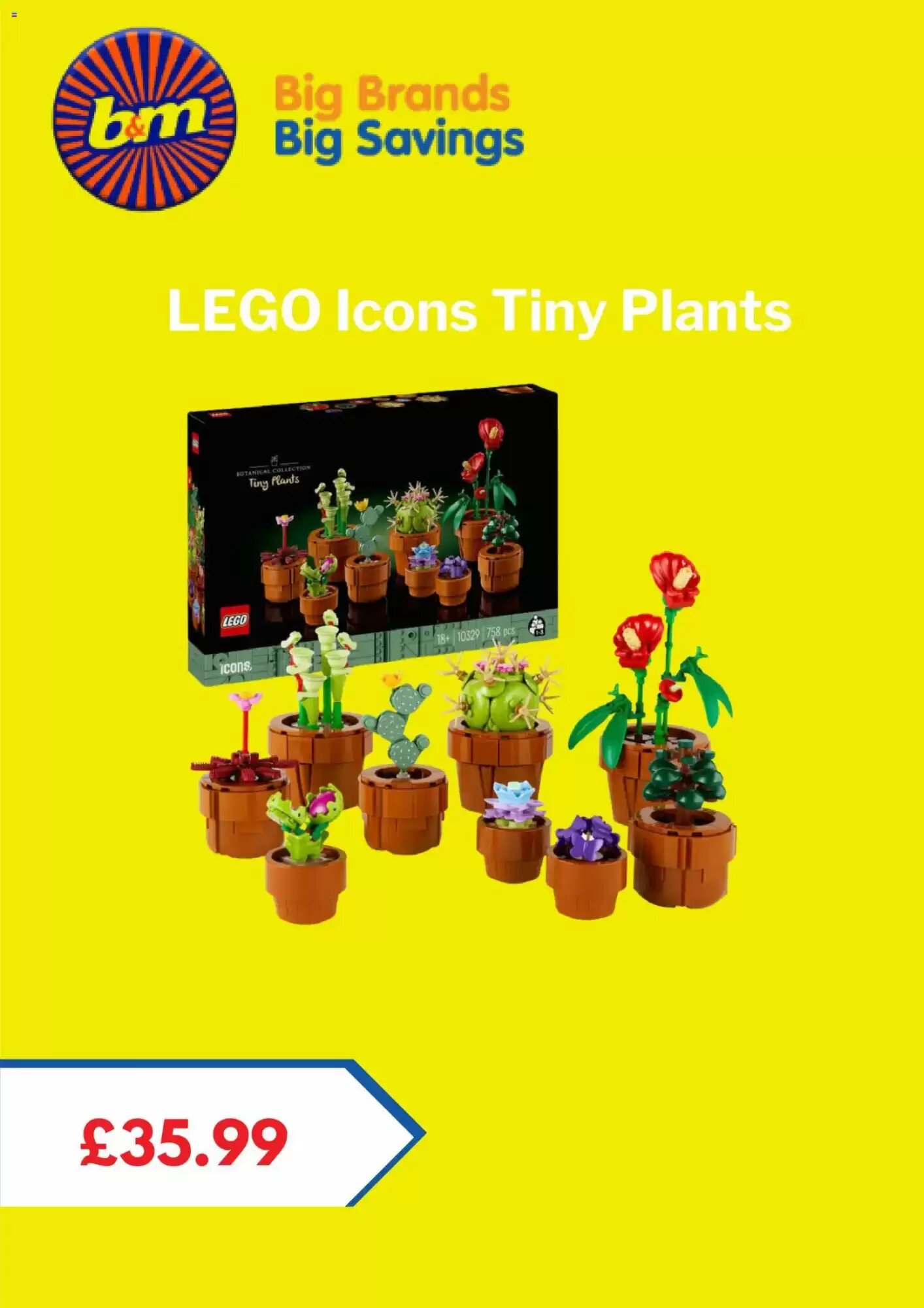 B&M Stores offers valid from 22/06/2026 - Page 5.
