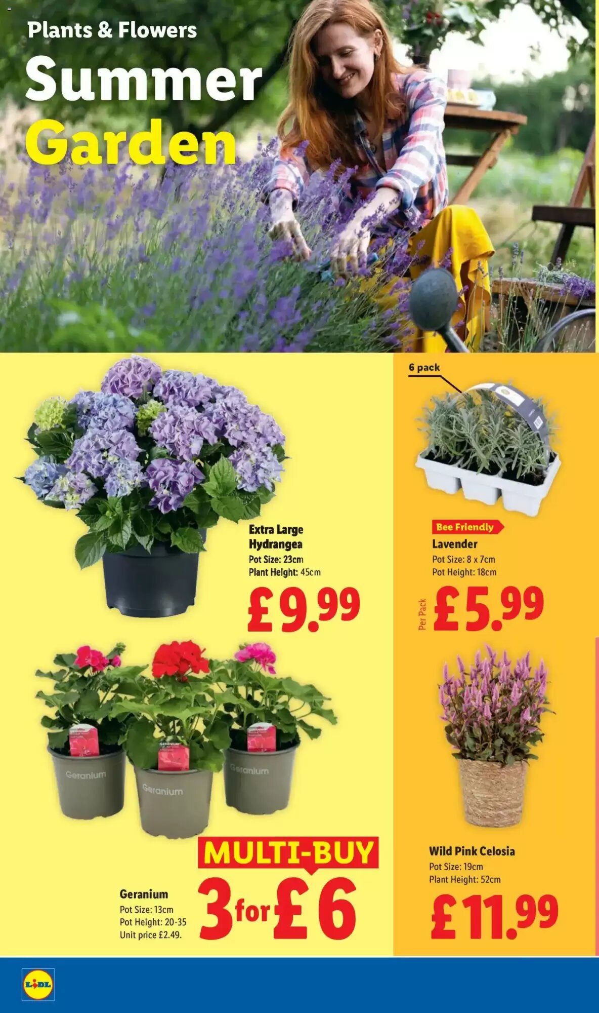 Lidl offers valid from 16/07/2026 - Page 22.