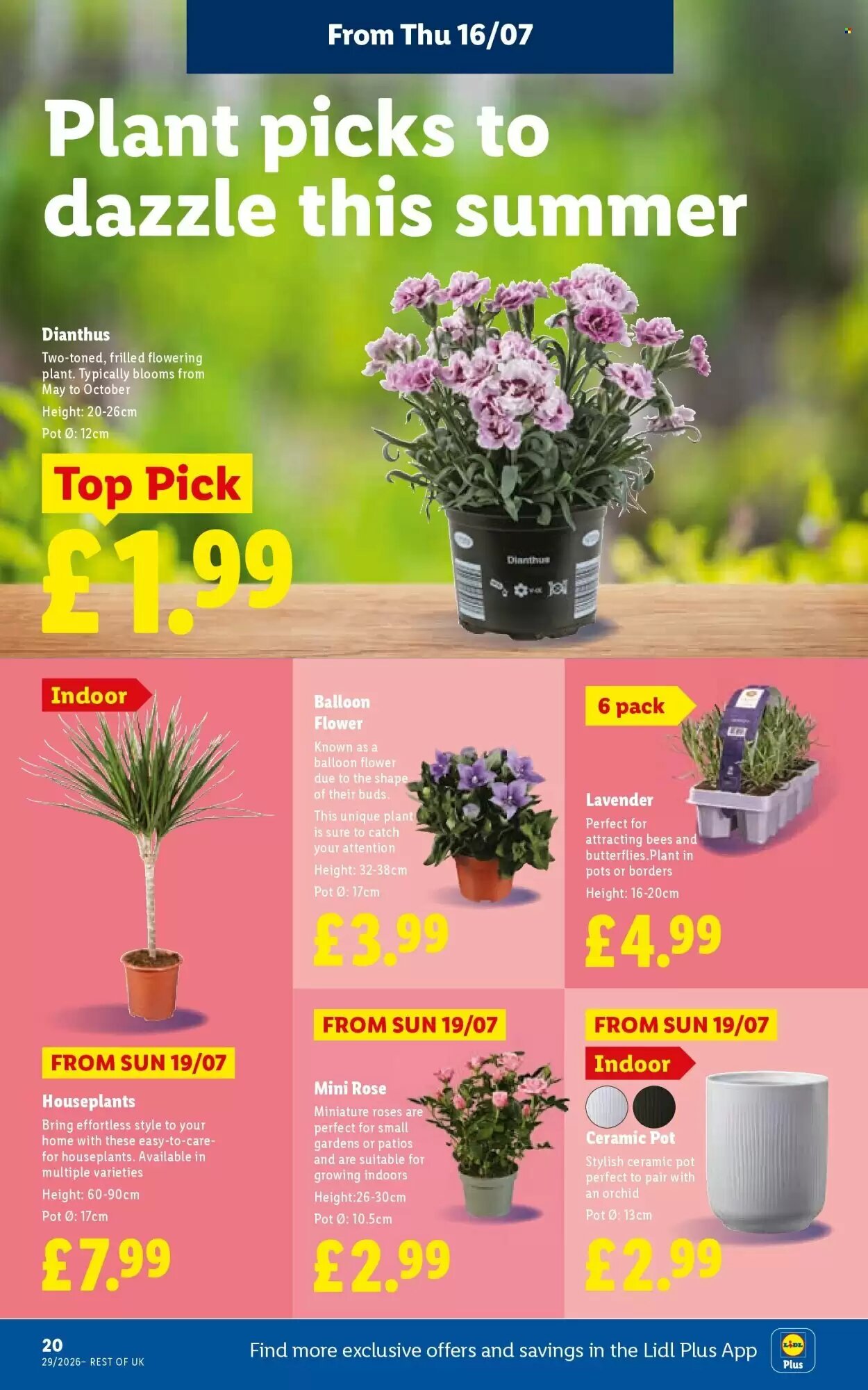 Lidl offers valid from 16/07/2026 - Page 22.