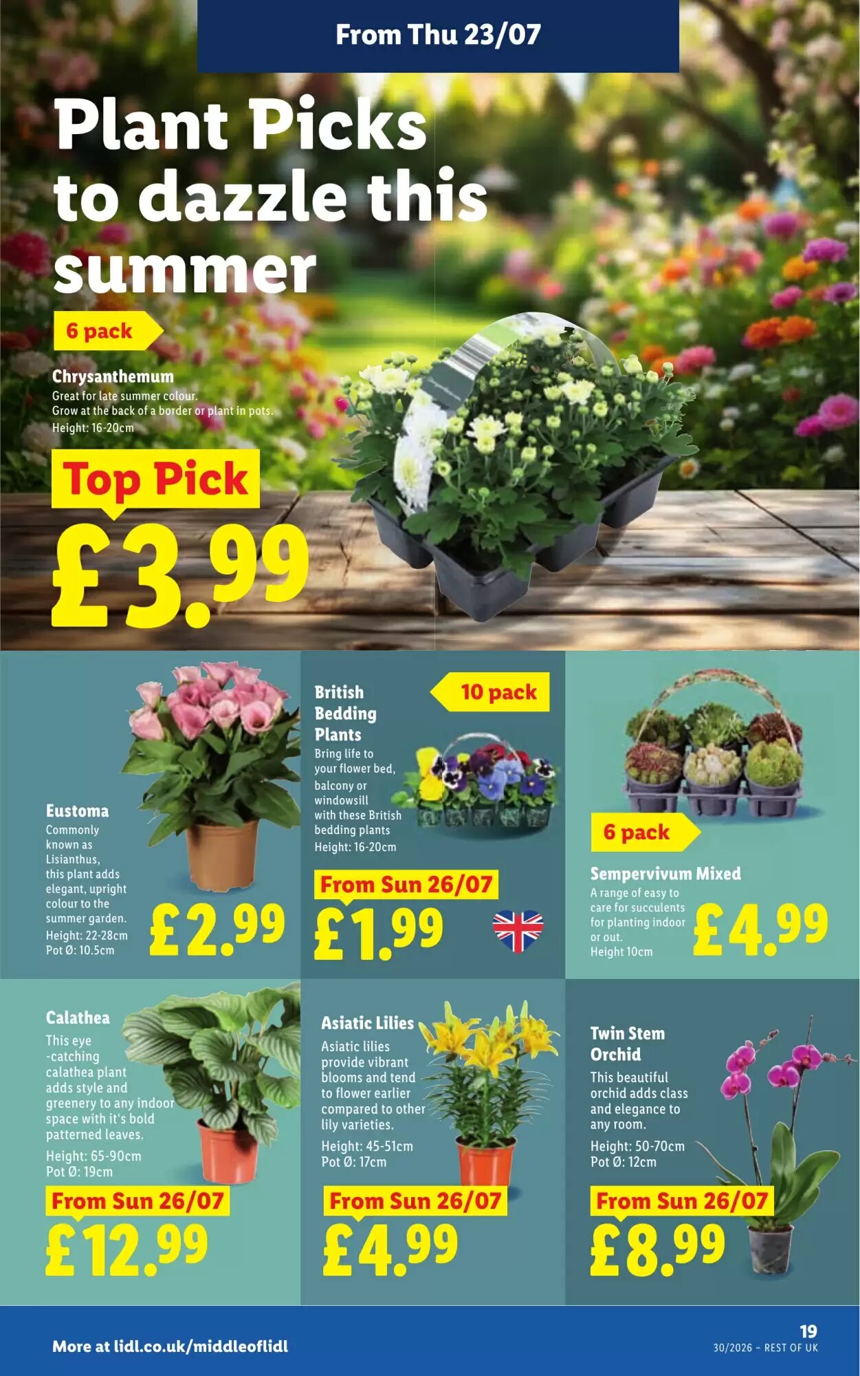 Lidl offers valid from 23/07/2026 - Page 21.