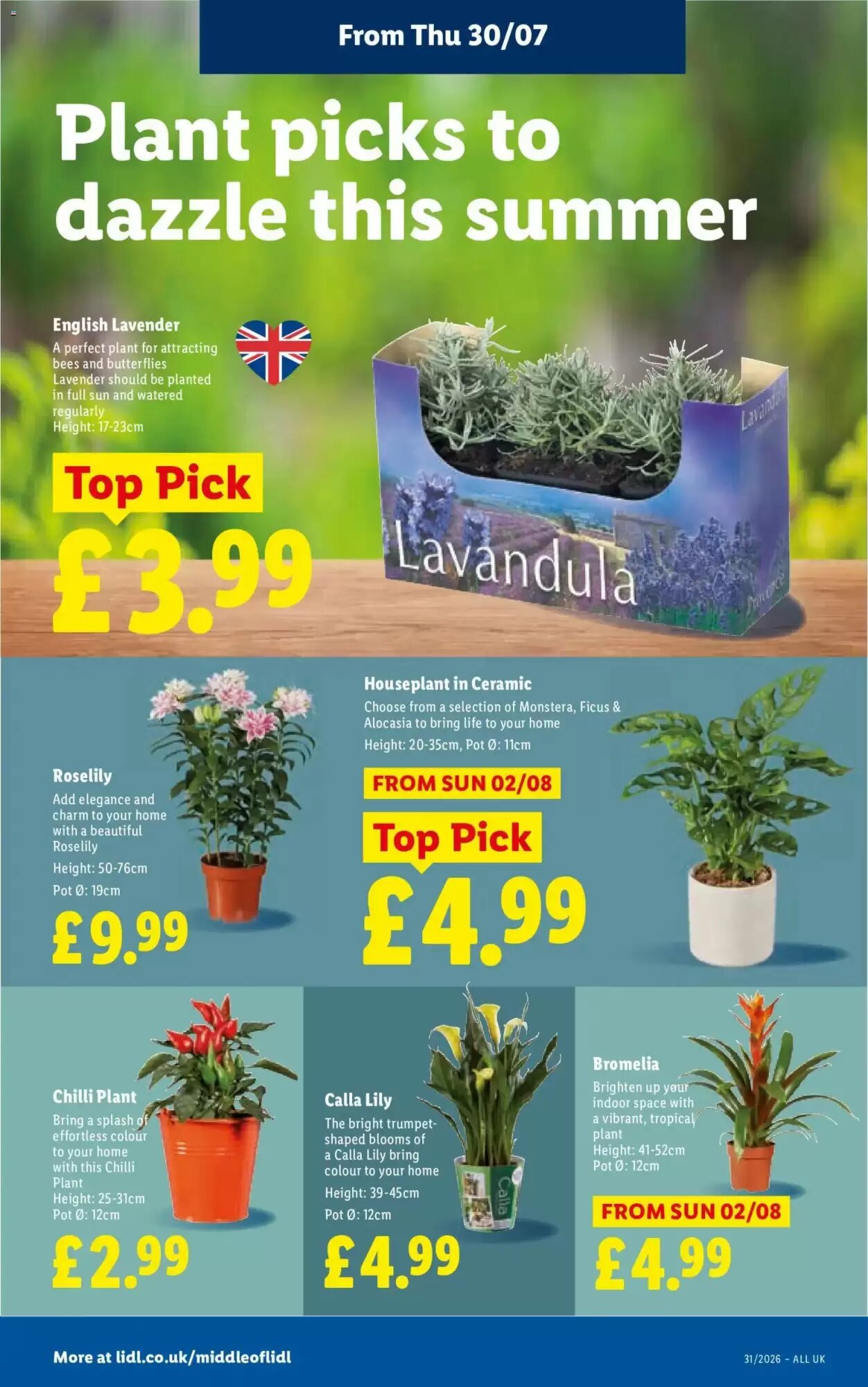 Lidl offers valid from 30/07/2026 - Page 26.