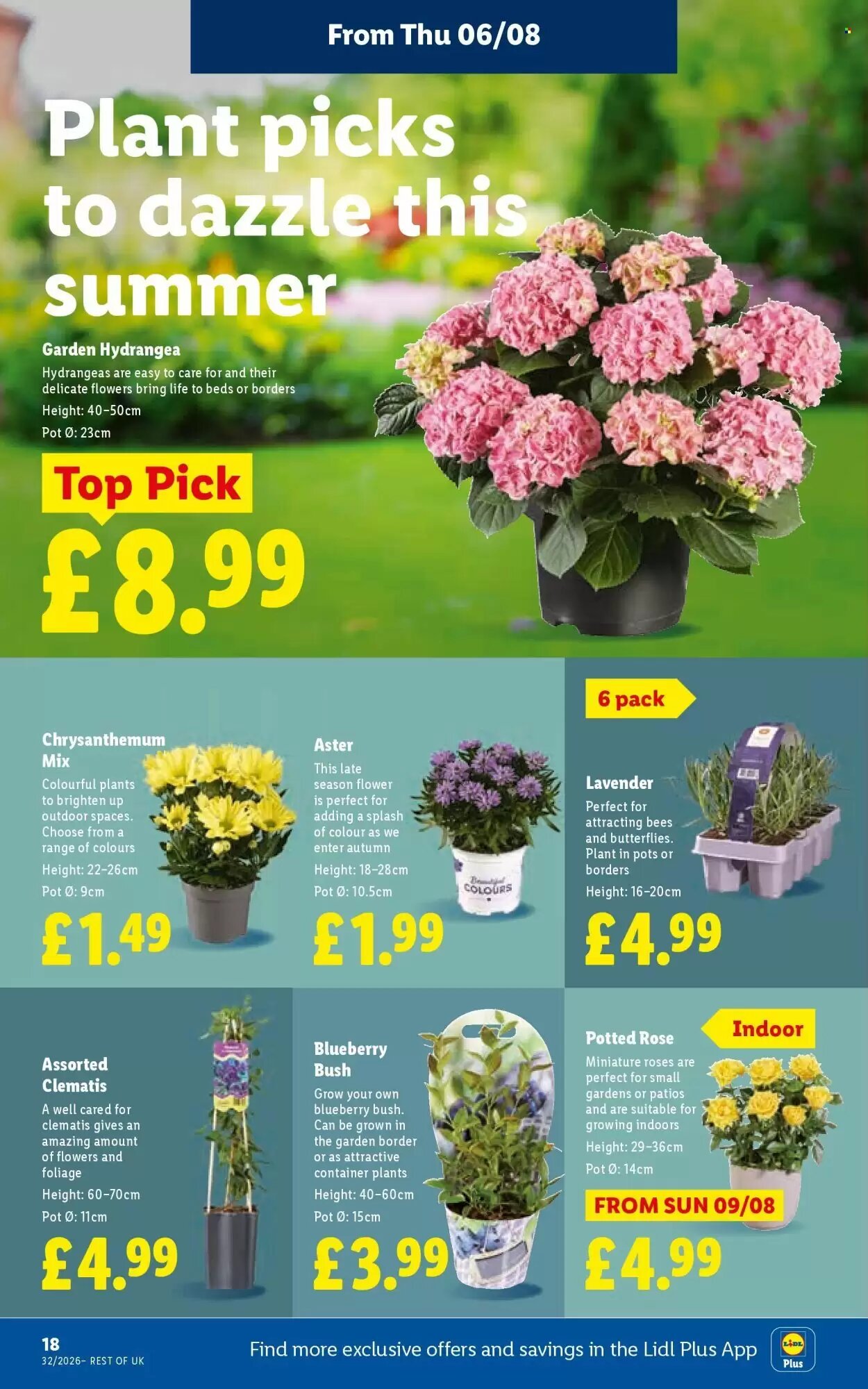 Lidl offers valid from 06/08/2026 - Page 22.