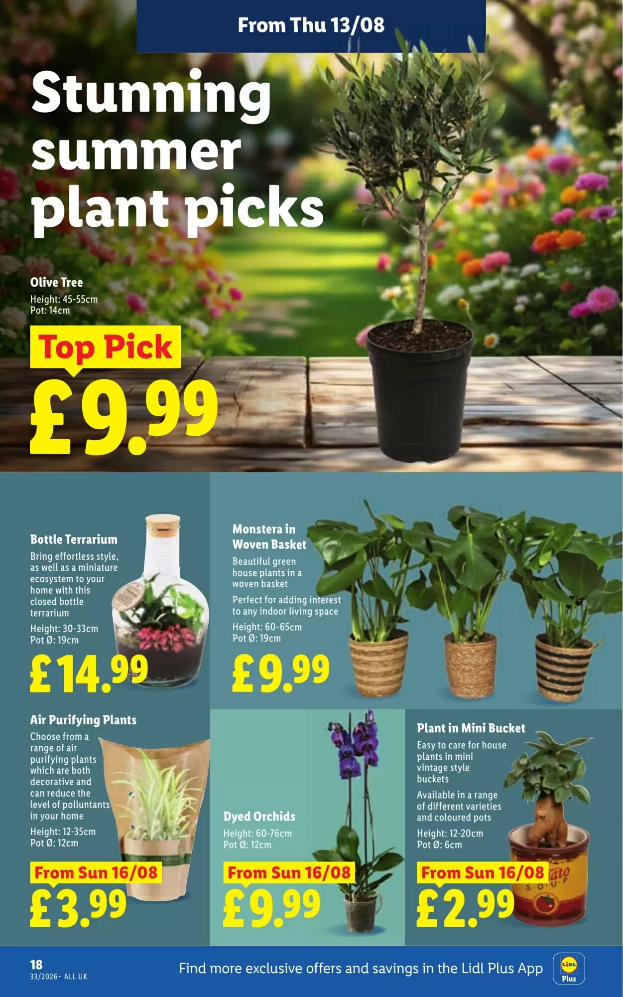 Lidl offers valid from 13/08/2026 - Page 20.