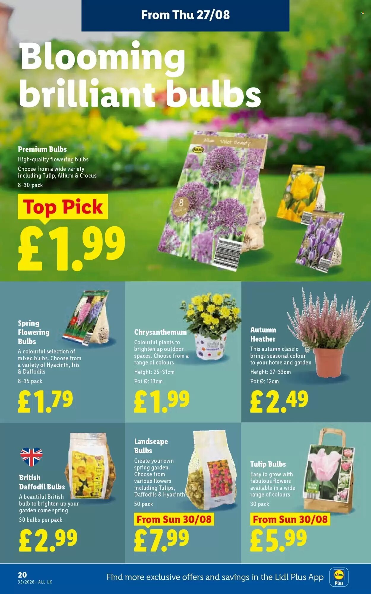 Lidl offers valid from 27/08/2026 - Page 22.