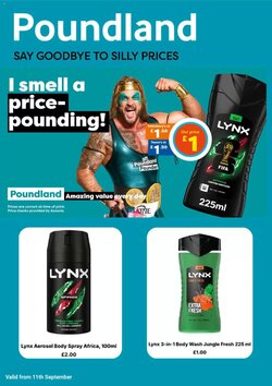 Poundland offers valid from 11/09/2026