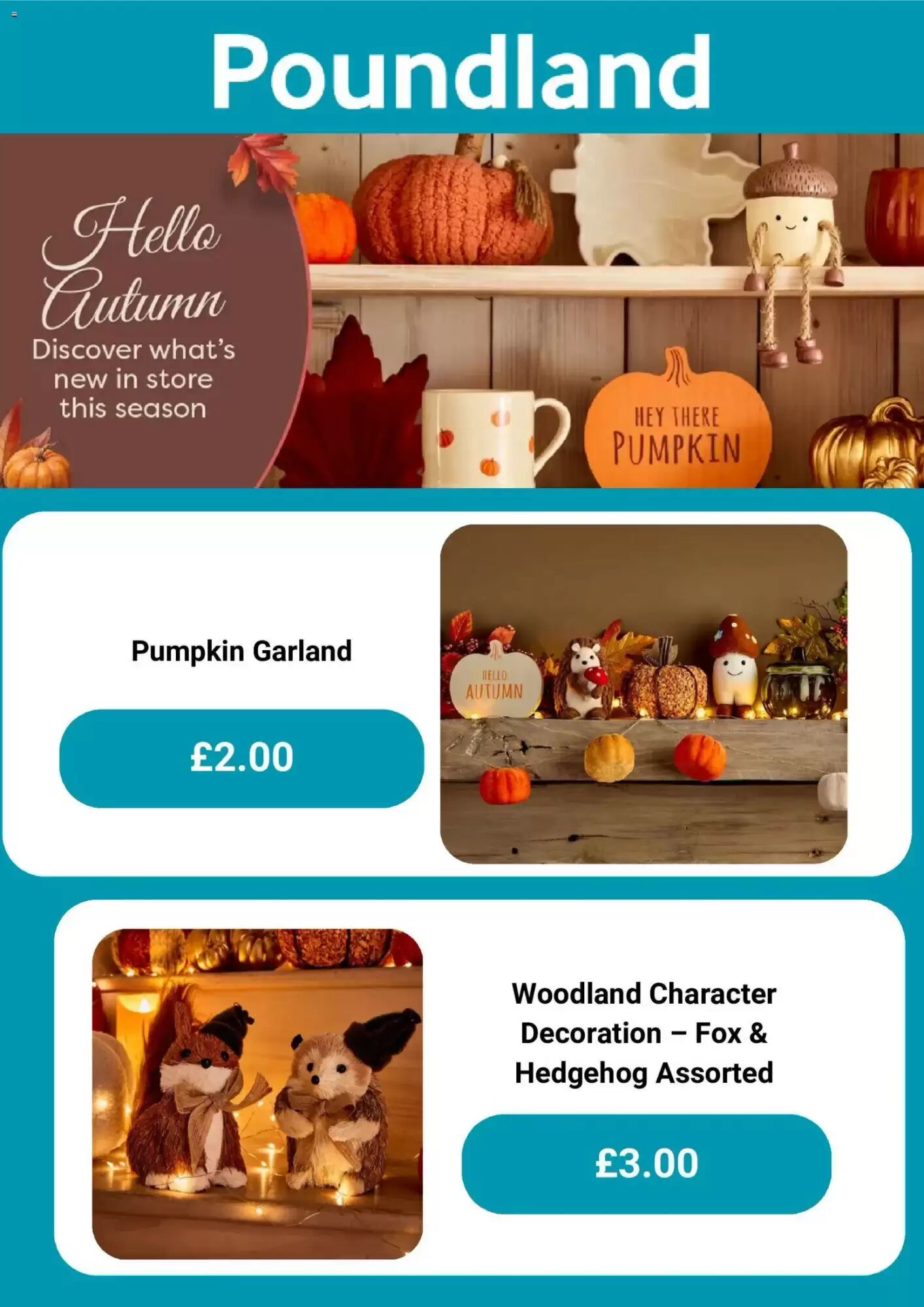 Poundland offers valid from 11/09/2026 - Page 4.