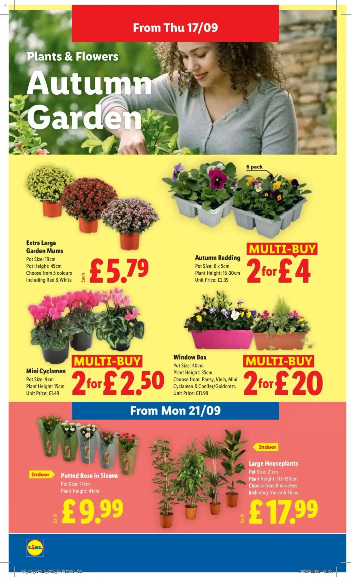 Lidl offers valid from 17/09/2026 - Page 22.