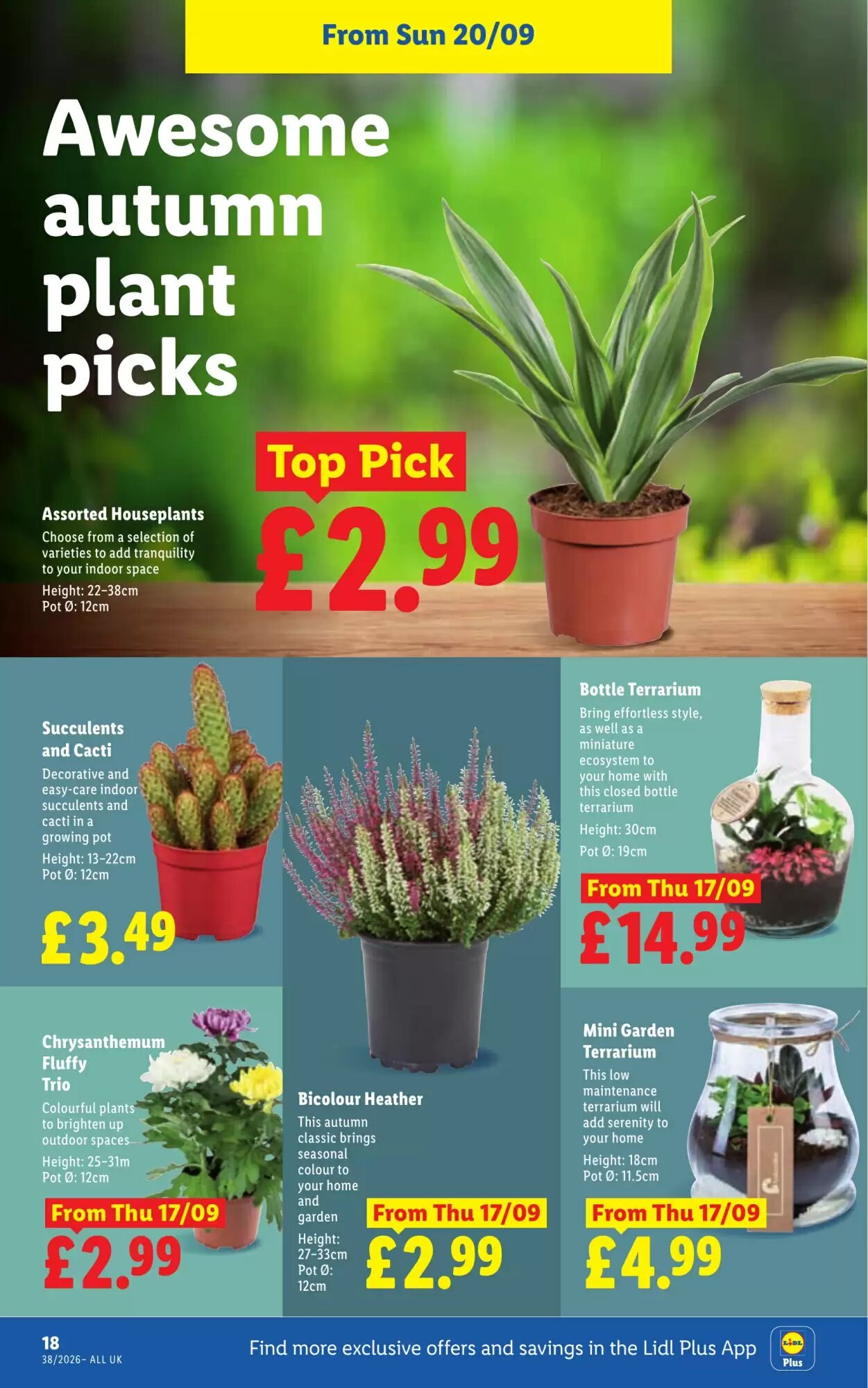 Lidl offers valid from 17/09/2026 - Page 20.