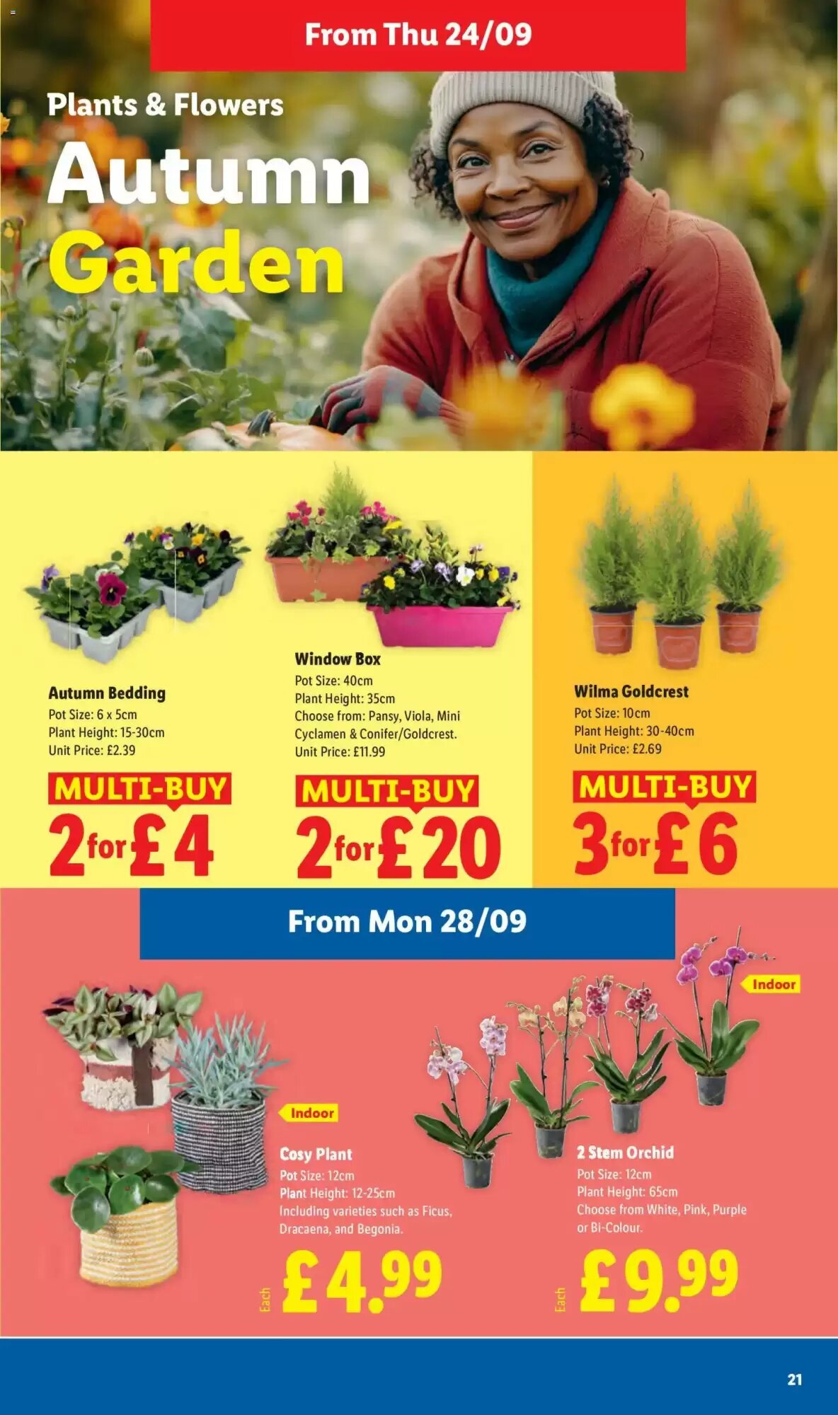 Lidl offers valid from 24/09/2026 - Page 21.
