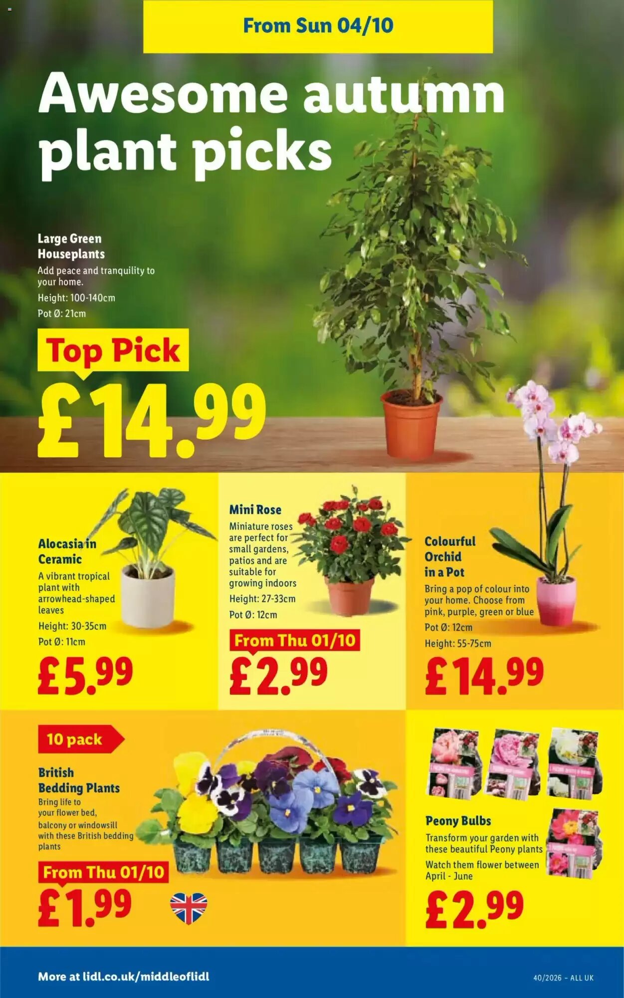 Lidl offers valid from 01/10/2026 - Page 32.