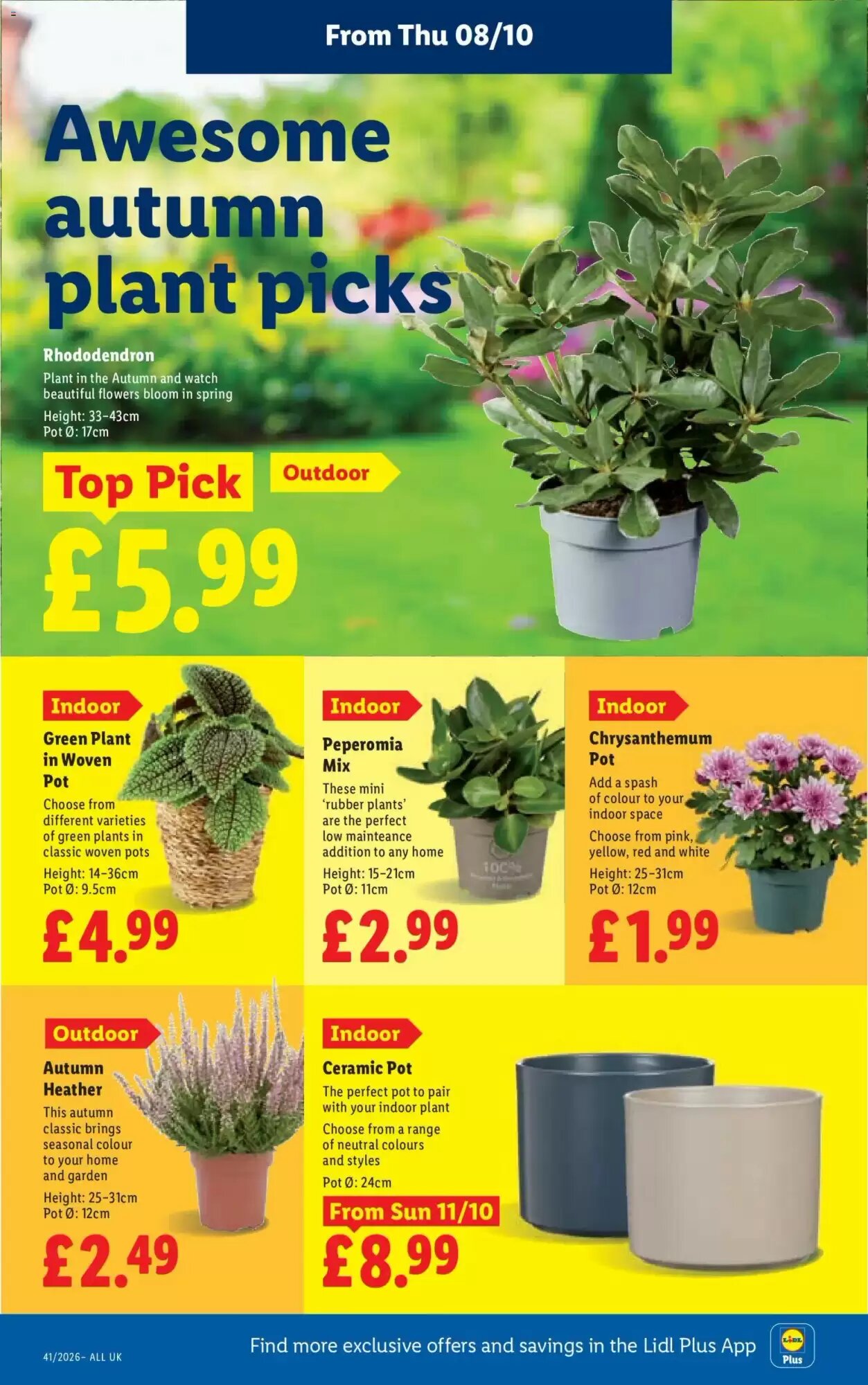 Lidl offers valid from 08/10/2026 - Page 26.