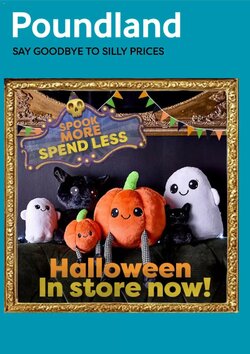 Poundland offers valid from 09/10/2026