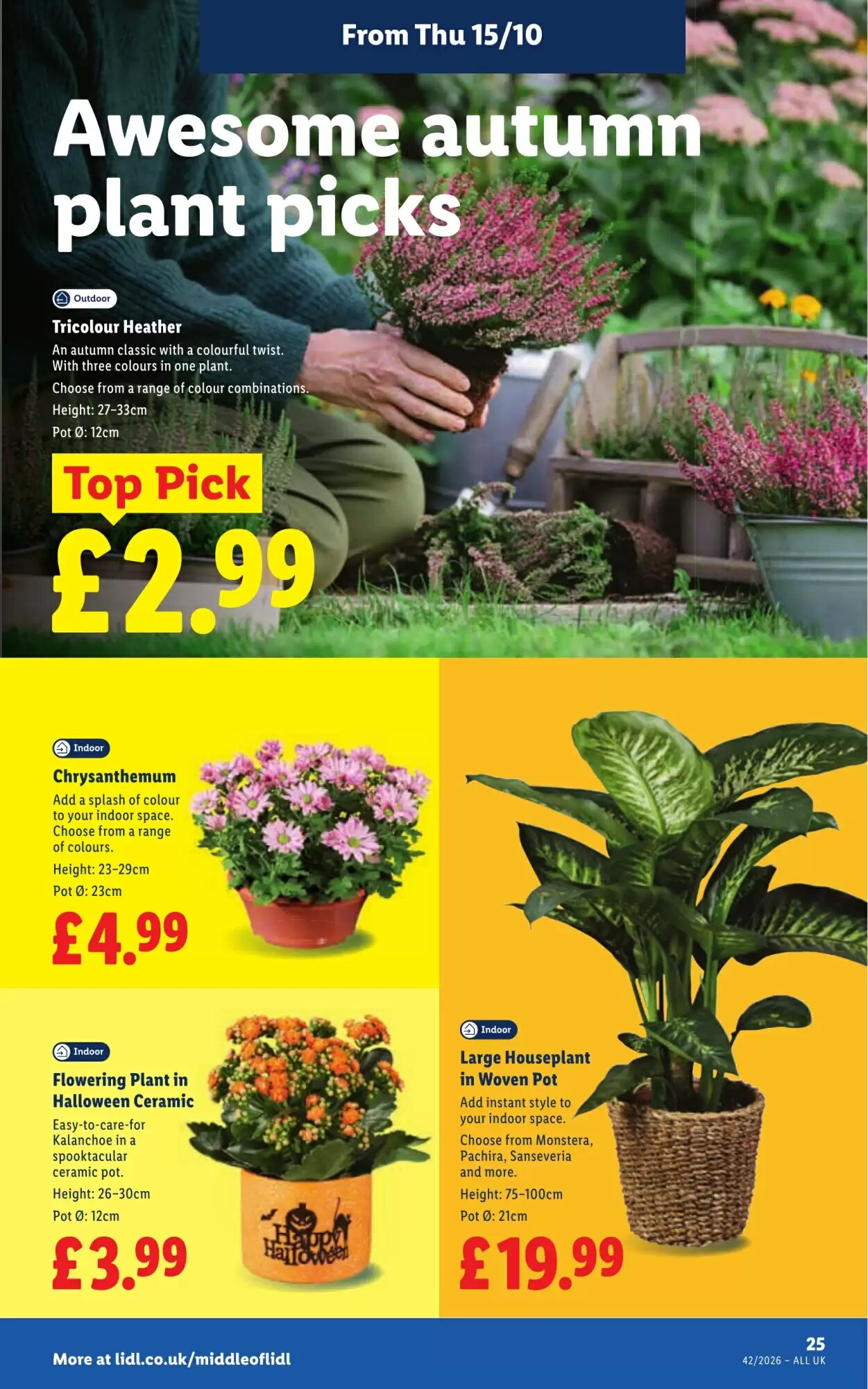 Lidl offers valid from 15/10/2026 - Page 27.